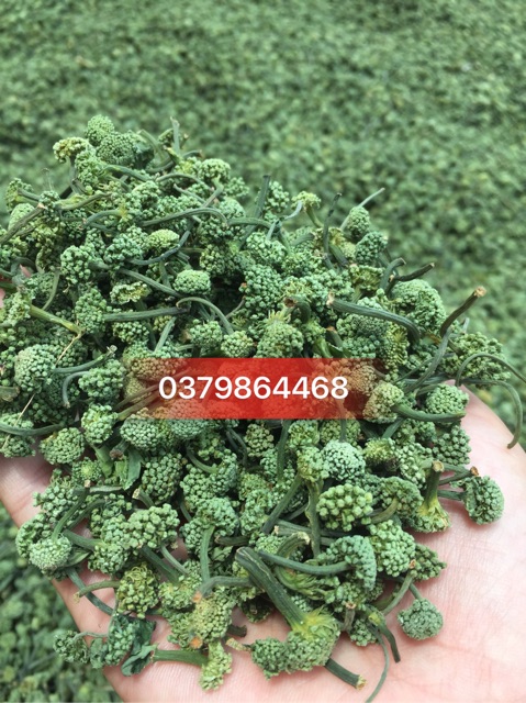 (FREESHIP) 500g nụ hoa tam thất bao tử loại hảo hạng | BigBuy360 - bigbuy360.vn