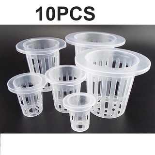 Set 10 cốc nhựa trồng cây thủy canh không cần đất giá đỡ