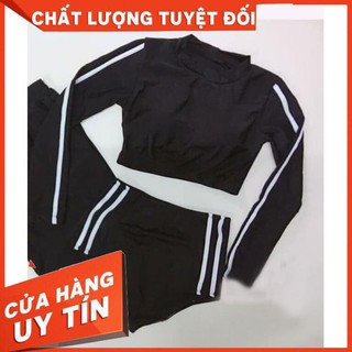 Bikini 2 Mảnh, Đồ Bơi Nữ Tay Dài, Đồ Tắm Biển Đẹp 2020 - KÈM ẢNH THẬT