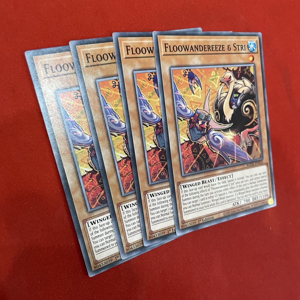 Floowandereeze & Stri