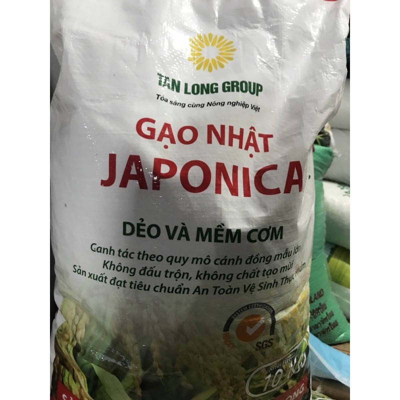 gạo nhật japonica