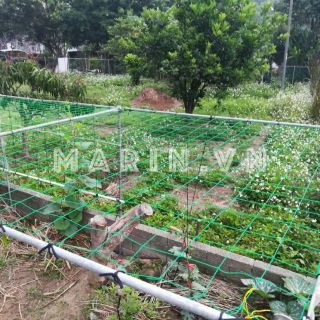 Lưới giàn cây leo nhiều kích thước