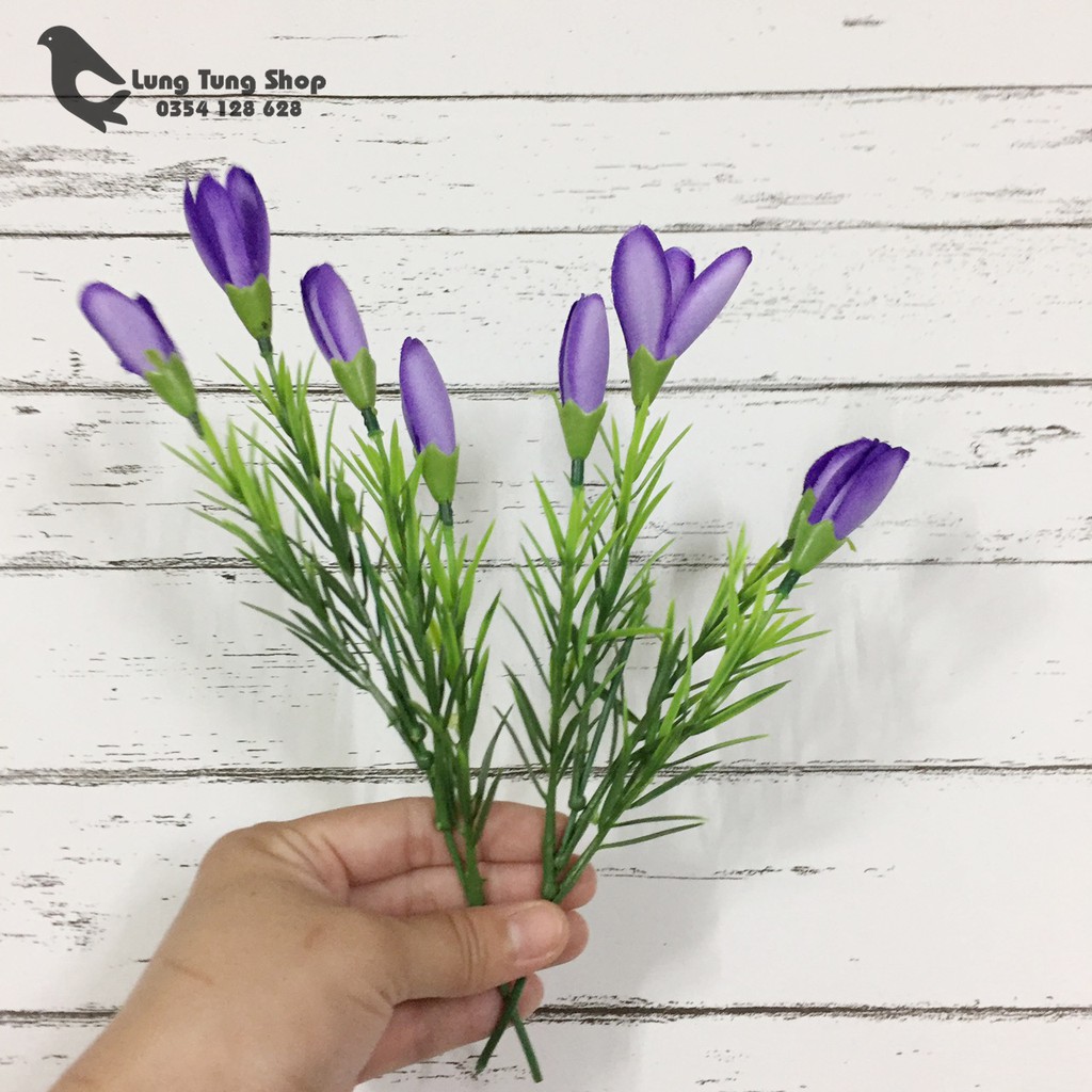 Hoa tulip nhỏ - phụ kiện chụp hình sản phẩm
