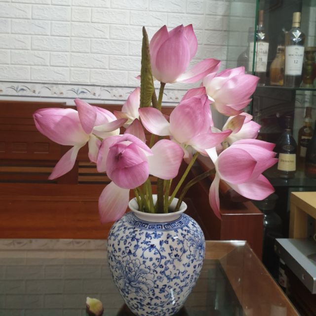 oanh2302