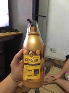 Combo cặp dầu gội xả Ginger valer