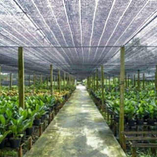 1 mét lưới thái 70% che nắng cho vườn lan màu xanh
