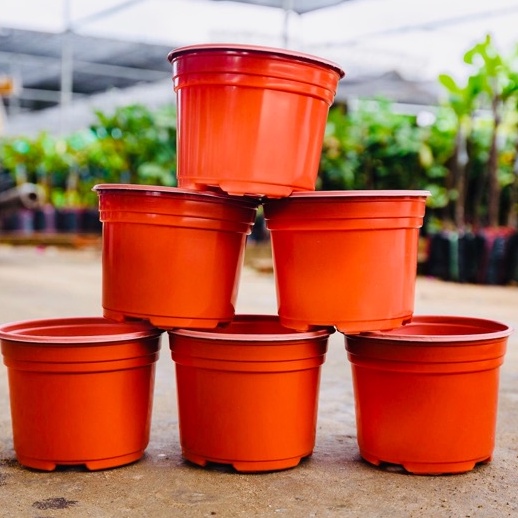 Chậu trồng cây sen đá kích thước 105x80mm chậu nhựa trồng cây sen đá chuyên nghiệp tiện lợi độ bền cao
