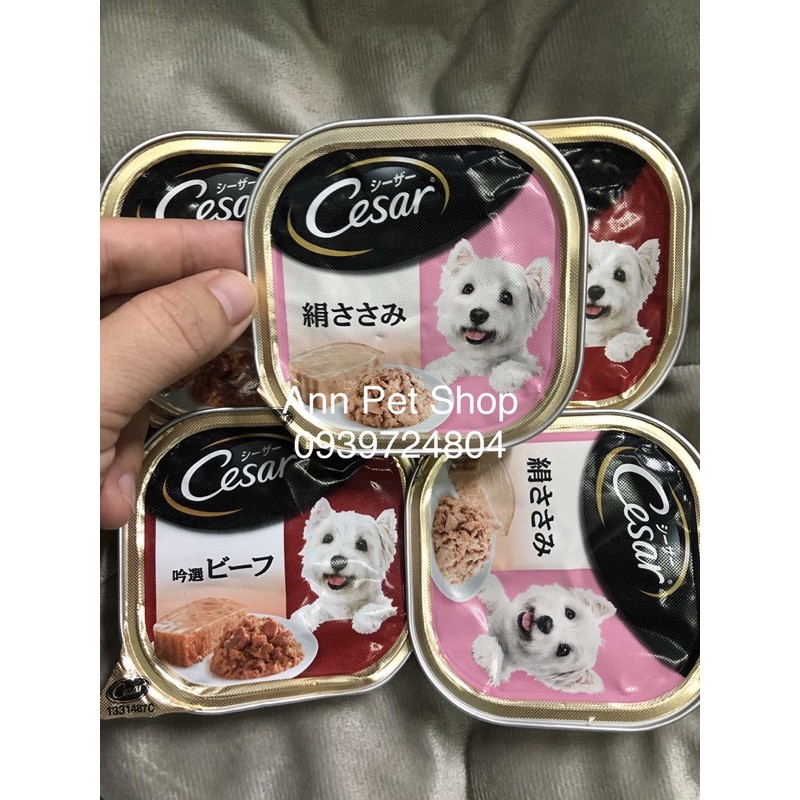 Pate Cesar Nhật 100g cho chó