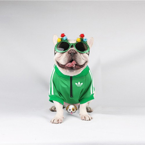 Mùa xuân và mùa thu Quần áo cho thú cưng Quần áo cho thú cưng Quần áo cho mèo Quần áo cho mèo Coquibago Shar Pei Bulldog Pháp Bulldog Teddy Quần áo cỏ ba lá Mẫu adi Áo len