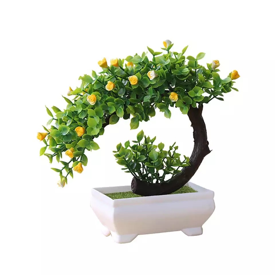 Chậu cây bonsai phú quý tài lộc trang trí nhà cửa kích thước 20cmx19cm