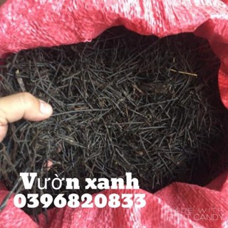 Dớn cọng trồng lan 200gr