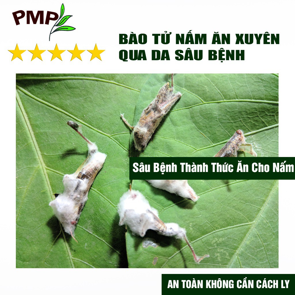 Chế phẩm vi sinh Biomic PMP trừ sâu xanh, sâu tơ, trĩ, nhện đỏ, rệp, sùng đất, tuyến trùng 100g