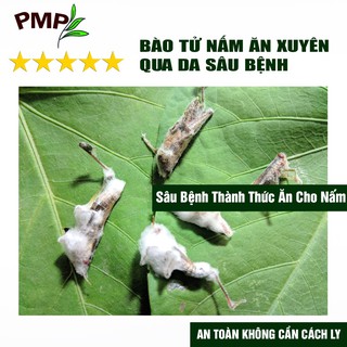 Chế Phẩm Vi Sinh Biomic PMP Chuyên Dụng Diệt Sâu, Trĩ, Nhện Đỏ, Rệp, Sùng Đất, Tuyến Trùng Cho Rau Sạch, Hoa, Cây Cảnh