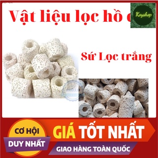 Vật liệu lọc sứ lọc hồ cá 100g