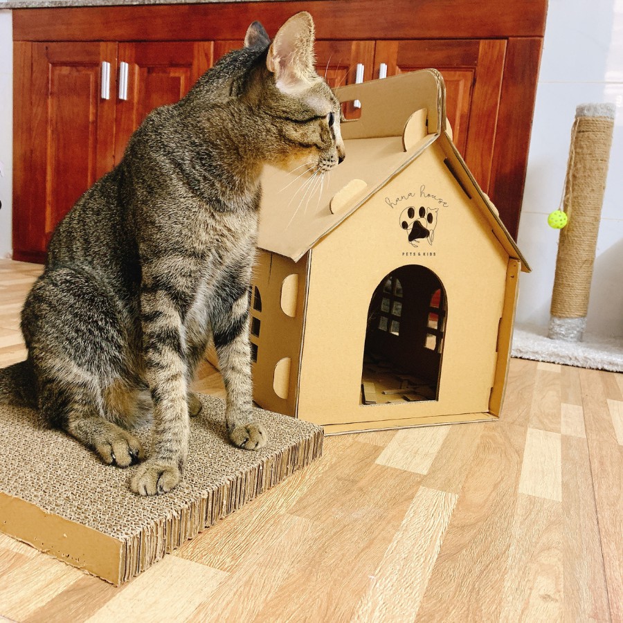 😽😽Nhà giấy carton cho mèo 🐈🐈 Nhà lắp ráp bằng giấy cho thú cưng 🐱