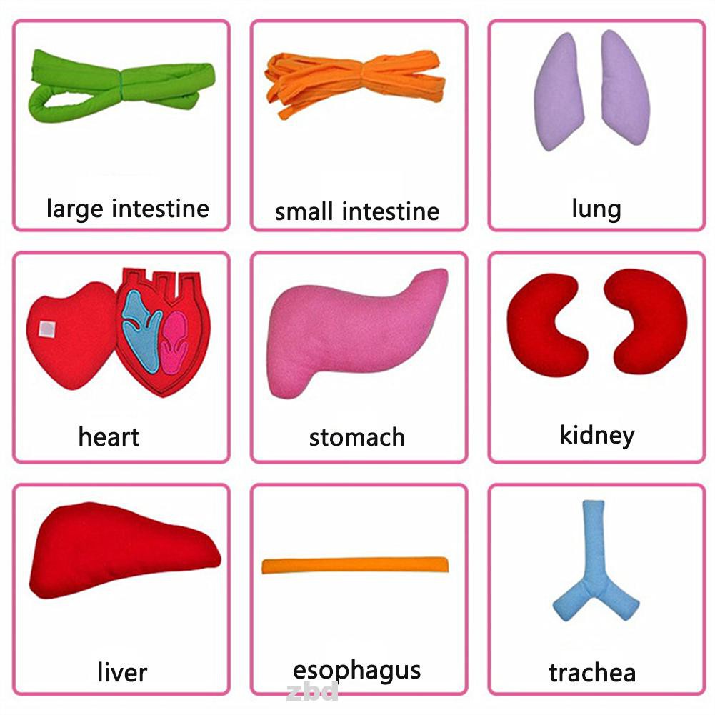 Tạp Dề Hình Đàn Organ 3d Dùng Dạy Học Cho Trẻ Em