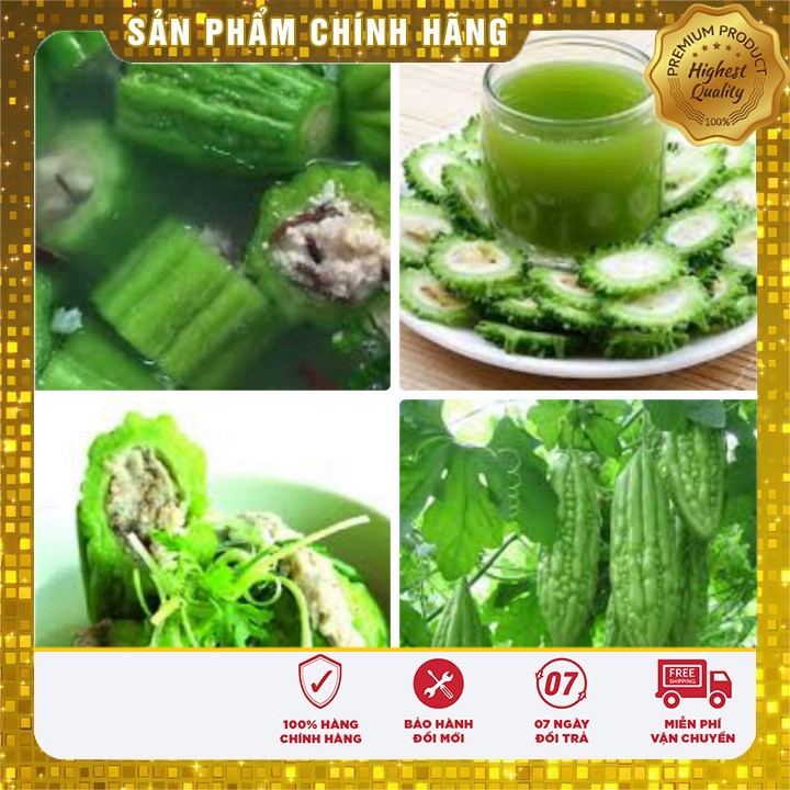 Hạt Giống Mướp Đắng( Khổ Qua) Thái Lan 10 Hạt