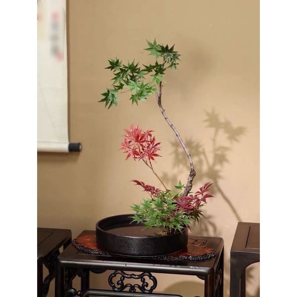 Bát cắm hoa phong cách cổ phong