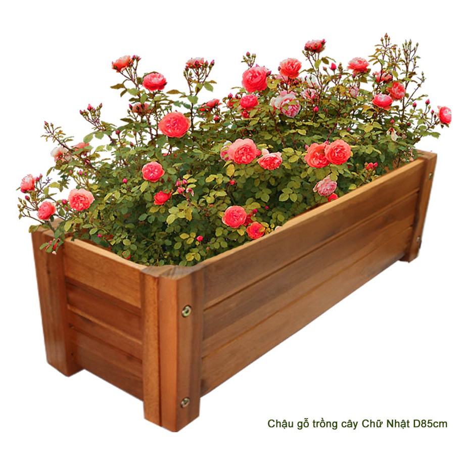 Chậu gỗ trồng cây, chữ nhật, D85xR35xC35cm, gỗ Tràm chịu nước, tặng 2 hộp dưỡng hoa tươi lâu |Greenhome