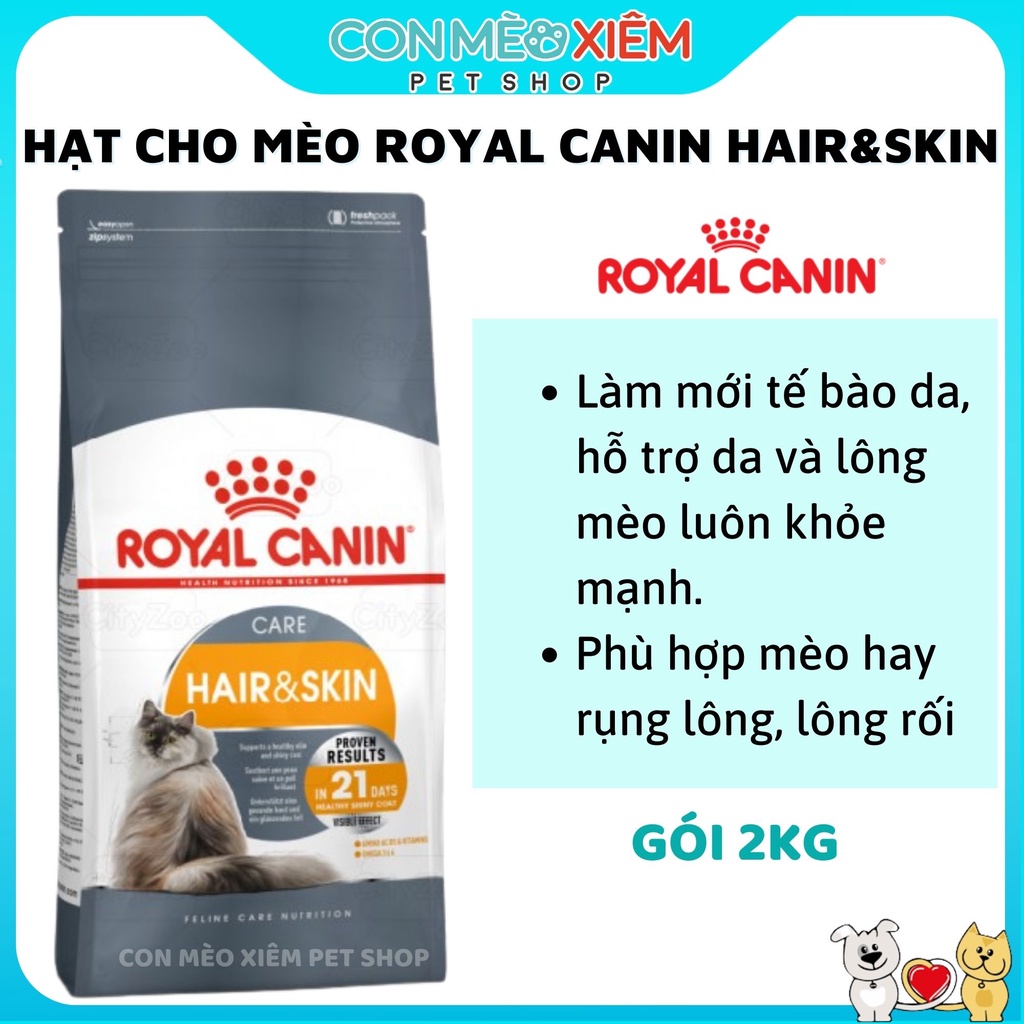 Hạt cho mèo Royal canin hair skin đẹp lông 2kg, giảm rụng lông cho mèo lớn trưởng thành Con Mèo Xiêm