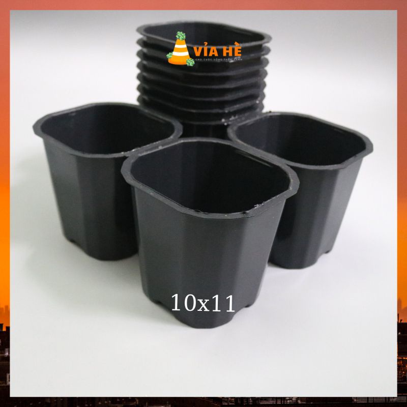 Chậu nhựa đen vuông cứng mini 11x10 chuyên trồng sen đá xương rồng giá tại xưởng