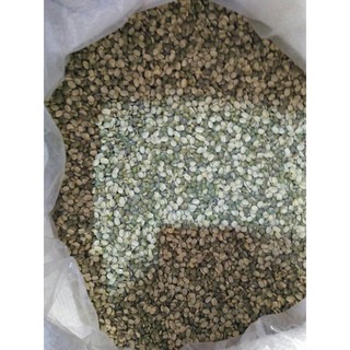 [FREESHIP 99K TOÀN QUỐC]Đỗ xanh chưa bóc vỏ