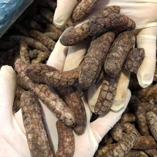 CHUỐI HỘT RỪNG NGỌC LINH