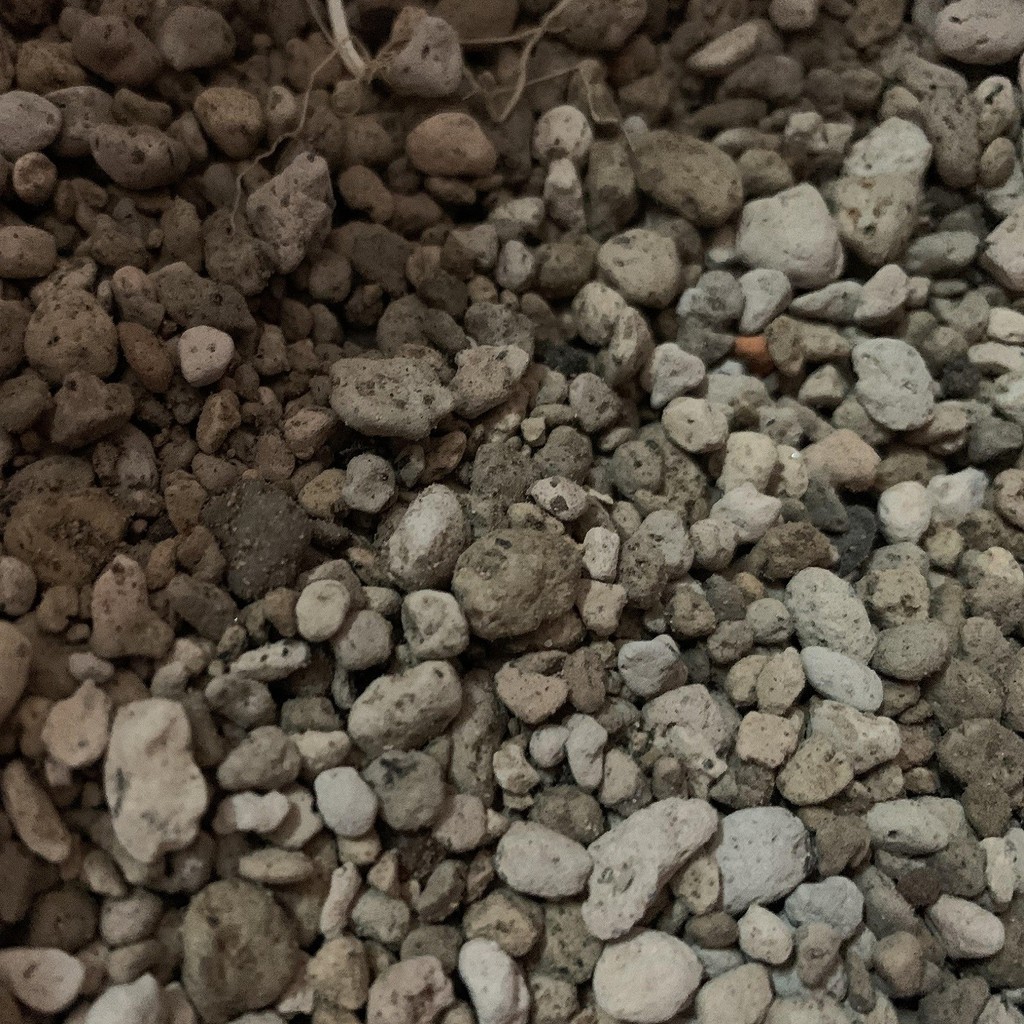 Đá pumice nửa kg