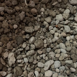 Đá pumice nửa kg
