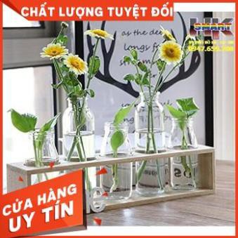 SÉT 5 BÌNH CẮM HOA THỦY TINH