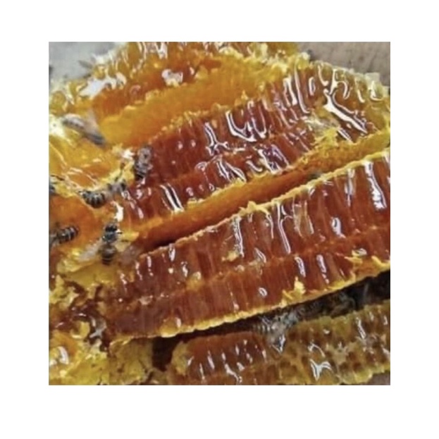 (Trợ giá mùa covid_Đặc sản CưMgar DakLak) 1 lít mật ong hoa cà phê bá lộc cao cấp 100% nguyên chất | BigBuy360 - bigbuy360.vn