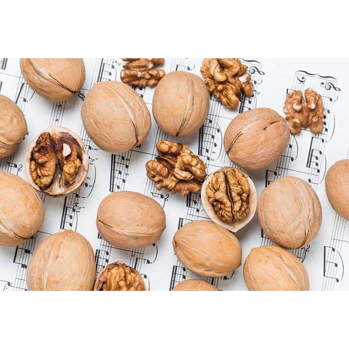 HẠT ÓC CHÓ Walnuts In Shell Natural 500g date 2019
