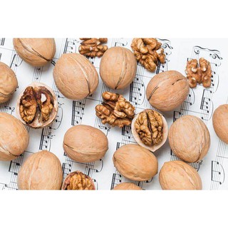 HẠT ÓC CHÓ Walnuts In Shell Natural 500g date 2019