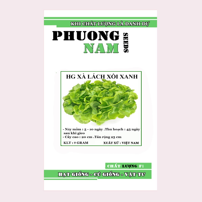 2 GR - HẠT GIỐNG XÀ LÁCH SỒI XANH CHỊU NHIỆT NĂM CHÂU