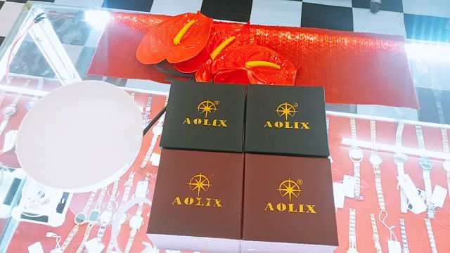 Đồng hồ Aolix 1028L / Mặt Ngọc viền chạm ĐÁ