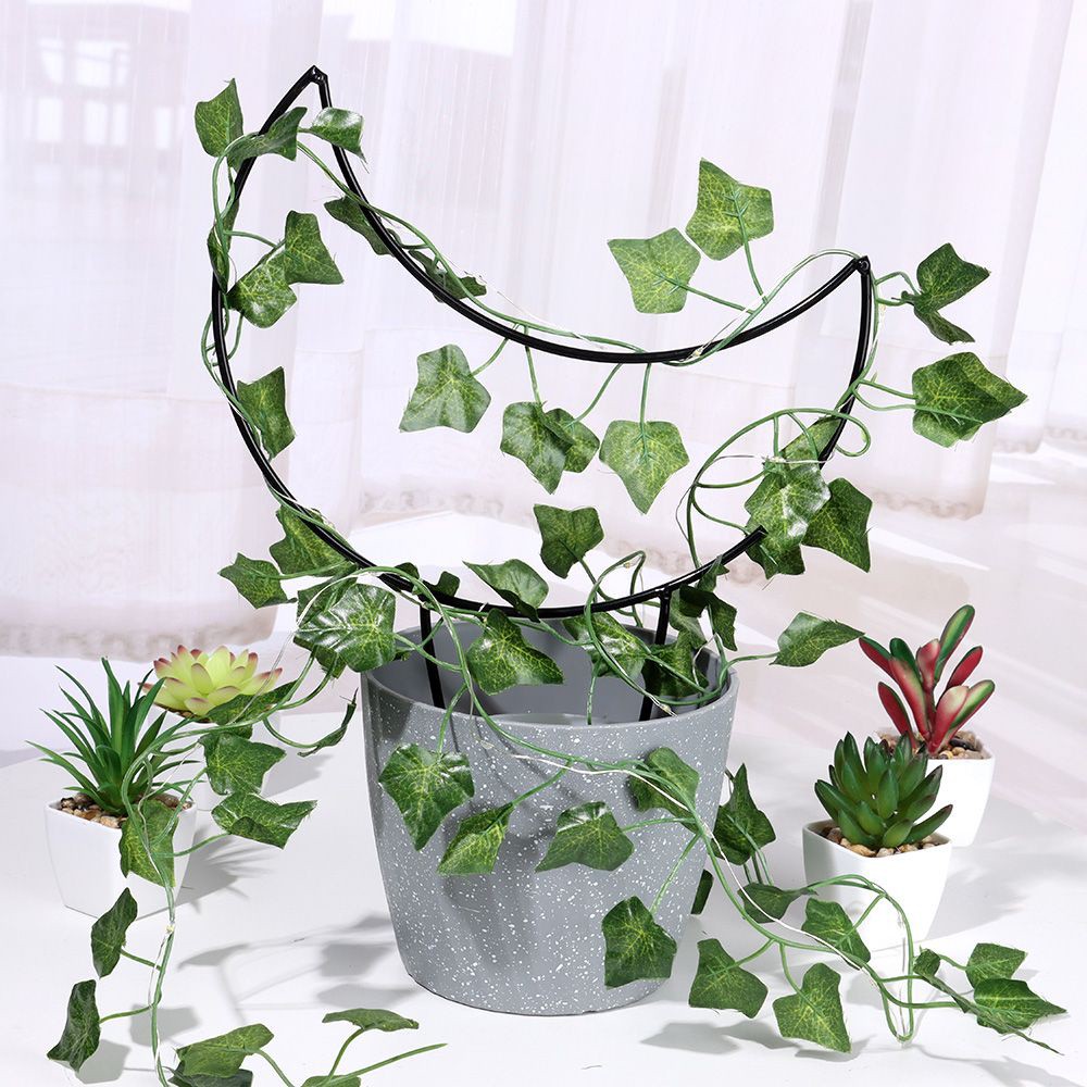 Khung tạo hình nghệ thuật trồng củ bình vôi, cây dây leo nhiều mẫu