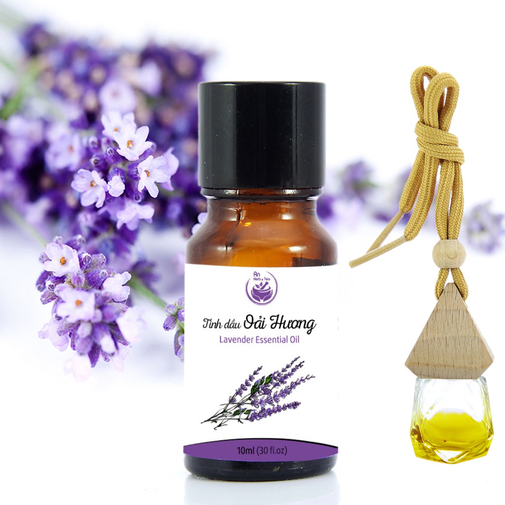 Tinh dầu oải hương (lavender) thiên nhiên nguyên chất An Herb &amp; Tea