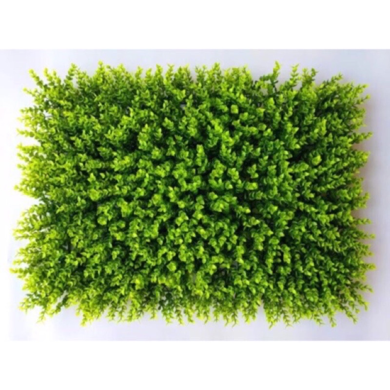 Vỉ cỏ, thảm cỏ tại chuột(40x60x5cm) Trang trí nhà cửa, hoa giả kết cổng cưới