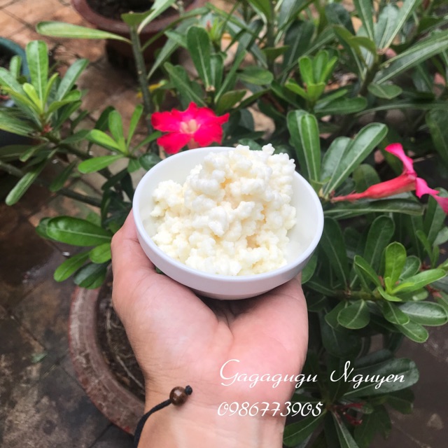 Combo nấm kèm rây lọc