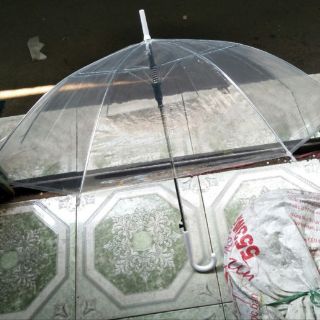 Dù trong suốt