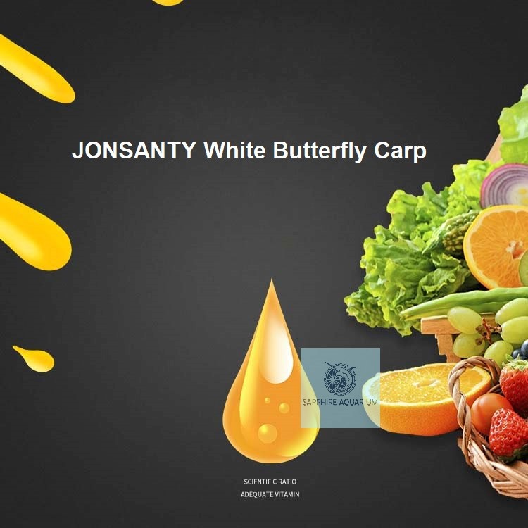 Thức ăn cá chép rồng JONSANTY White Butterfly Carp