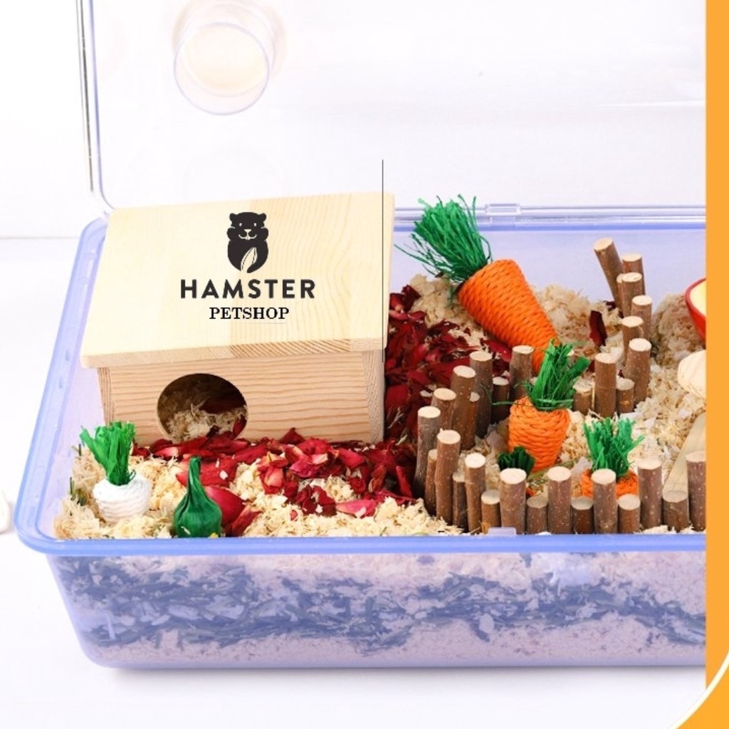 Cà rốt mài răng và trang trí chuồng cho Hamster