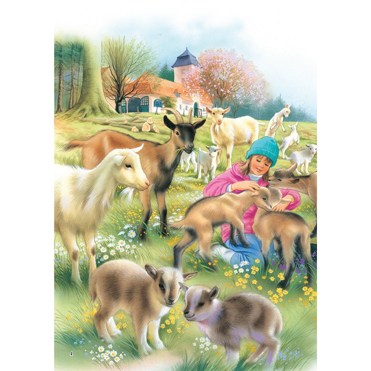 Sách - Sức sống rừng xanh (bìa mềm)