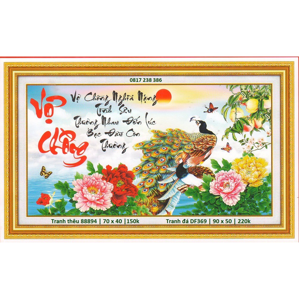 Tranh đính đá vợ chồng DF369 (90 x 50 cm)