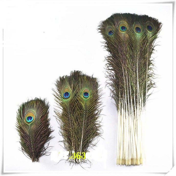 Combo 10 Lông công trang trí phong thủy tài lộc 28-35cm | BigBuy360 - bigbuy360.vn