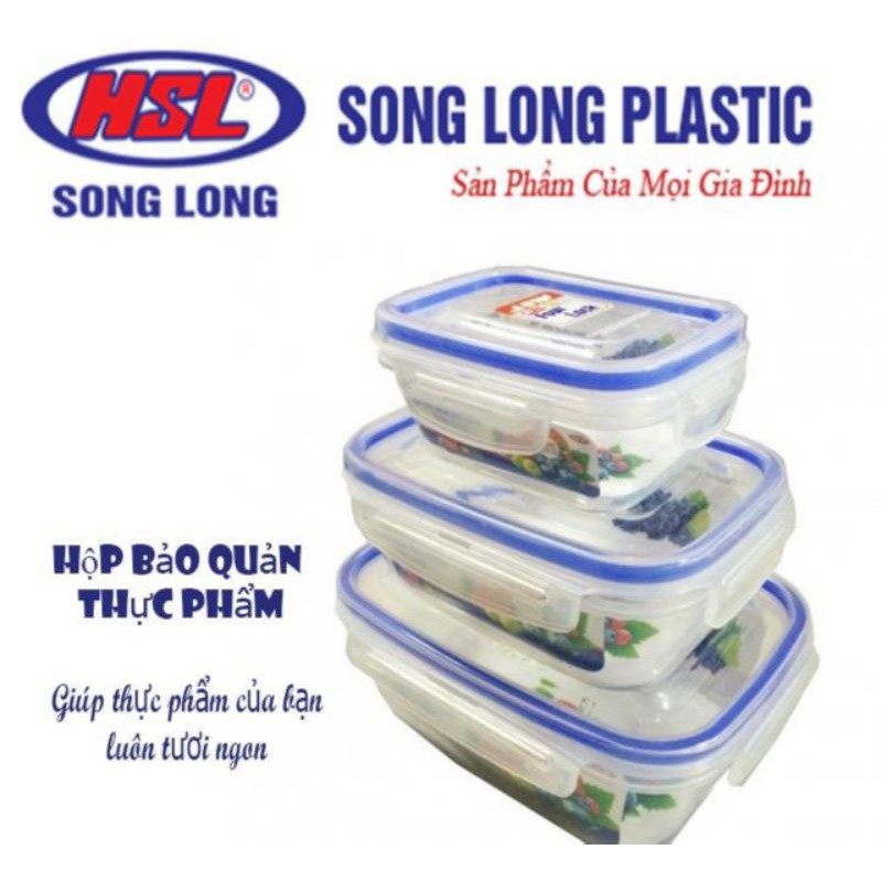Combo 3 hộp trữ đông nhựa Song Long