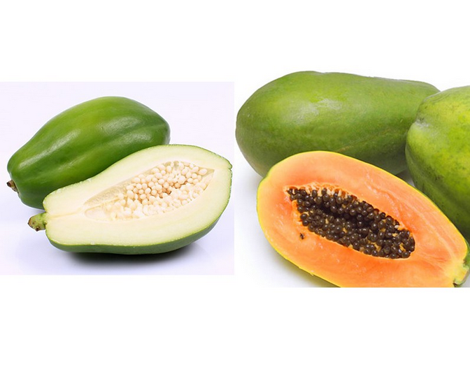 2 kg đu đủ xanh sẵn tại vườn làm nộm hầm xương