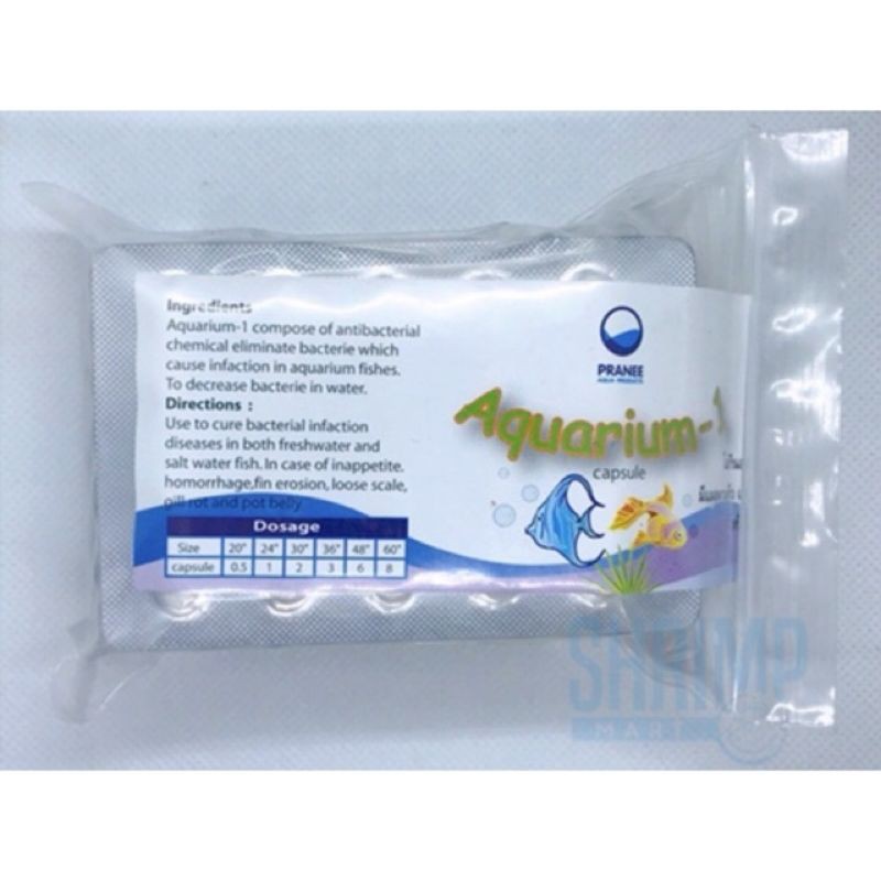 VIÊN AQUARIUM-1 TÉP CÁ LAI RAI (1 viên)