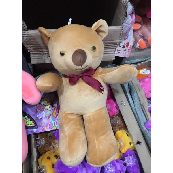 gấu bông teddy đeo nơ xinh xắn (ảnh tự chụp)