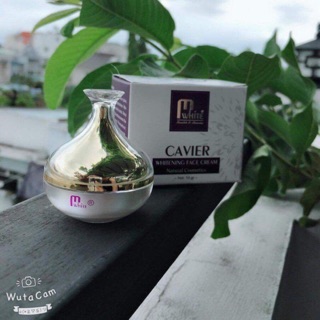 Kem face thạch Cavier Mwhite Mini - chính hãng